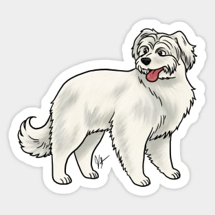 Dog - Pyrenean Shepherd - White Sticker